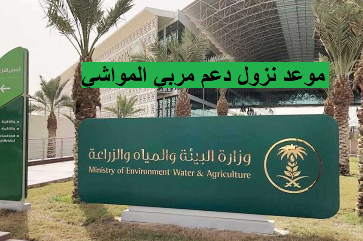 موعد صدور دعم المواشي في السعودية لشهر نوفمبر